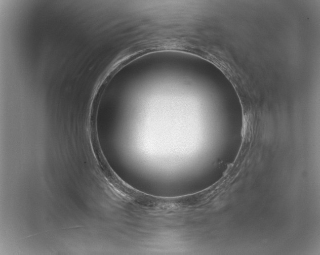 X0000075410195200609251053