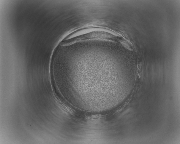 X0000075410196200609251053