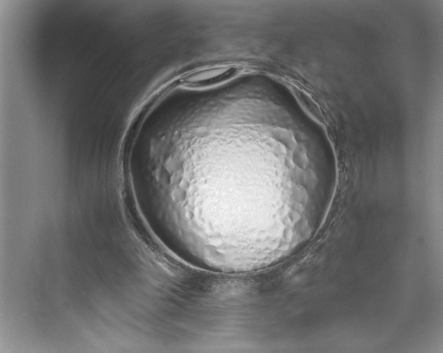 X0000075410198200609251053