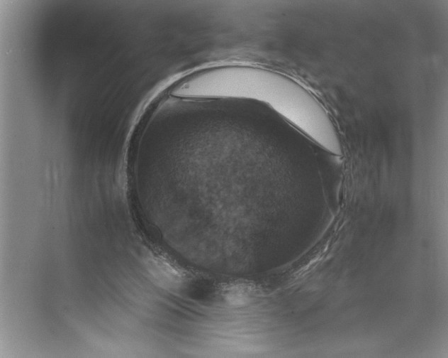 X0000075410200200609251053