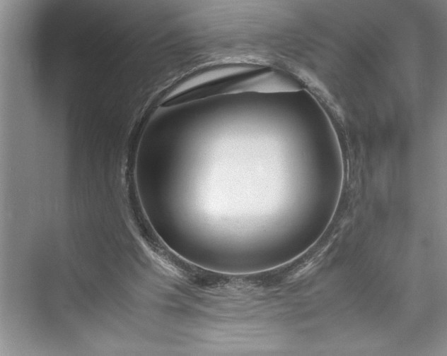 X0000075410201200609251053