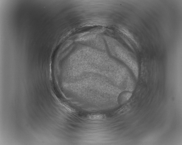 X0000075410202200609251053