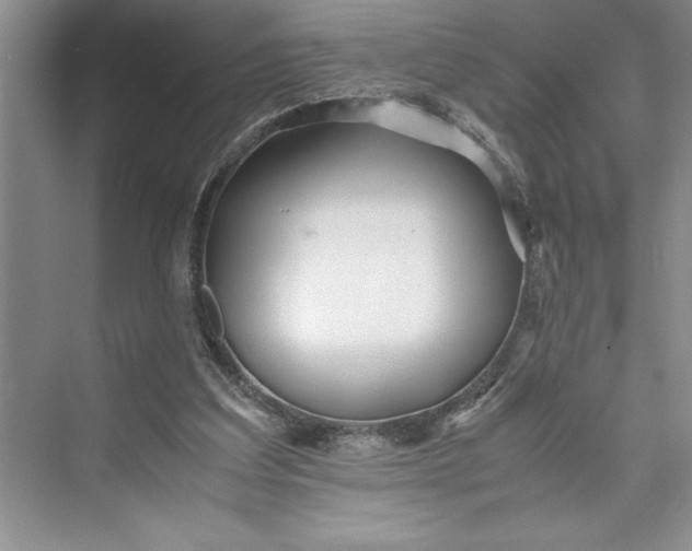 X0000075410203200609251053