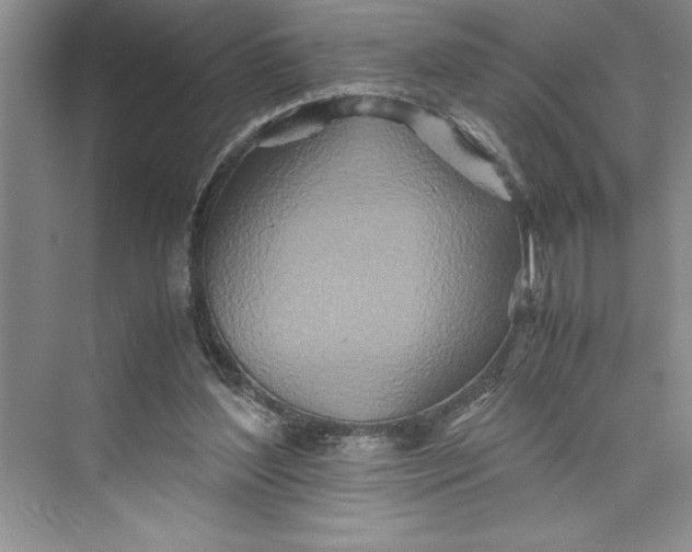 X0000075410204200609251053