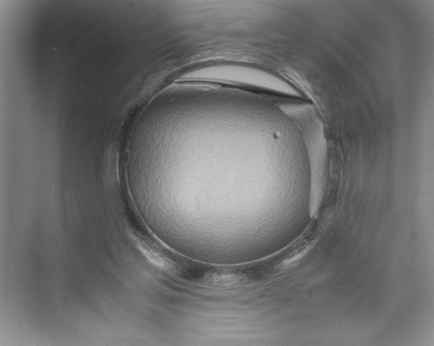 X0000075410205200609251053