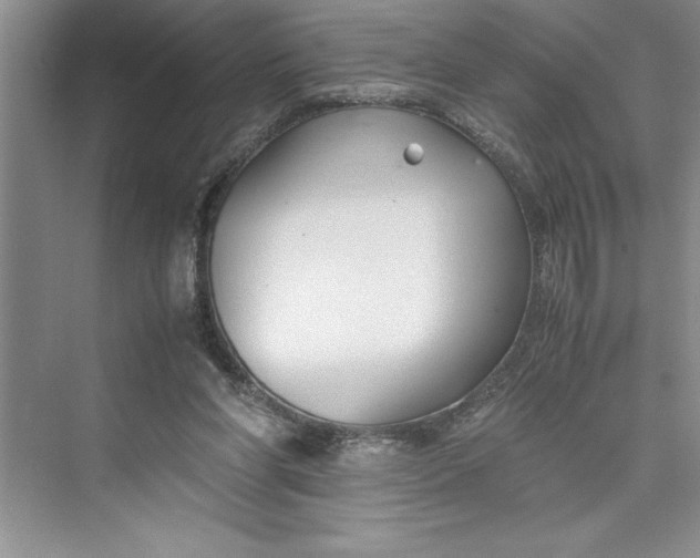 X0000075410206200609251053