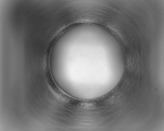 X0000075410208200609251053