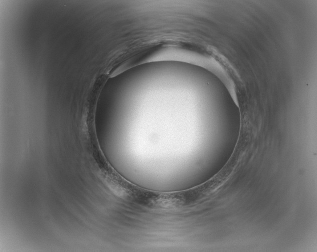 X0000075410209200609251053