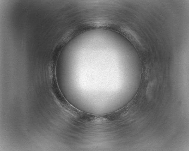 X0000075410210200609251053