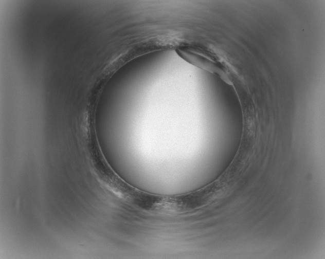 X0000075410211200609251053