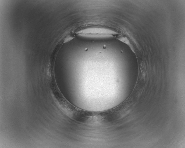 X0000075410212200609251053