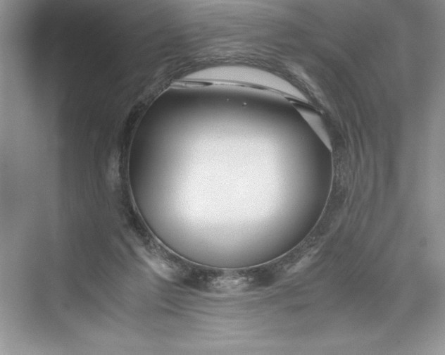 X0000075410213200609251053