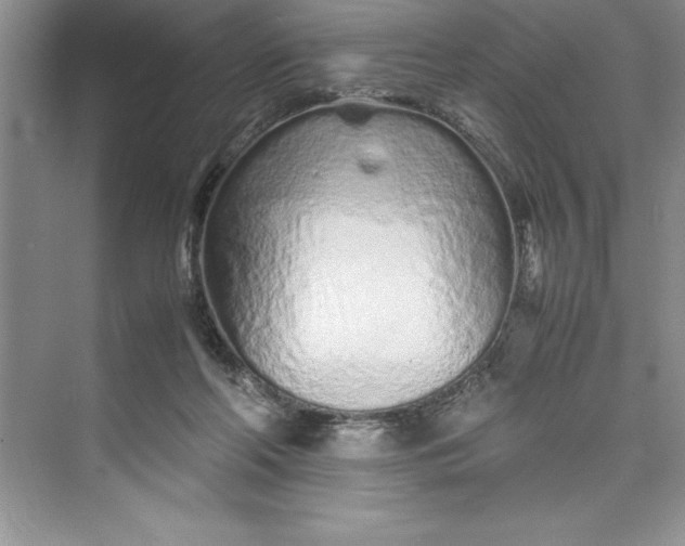 X0000075410214200609251053