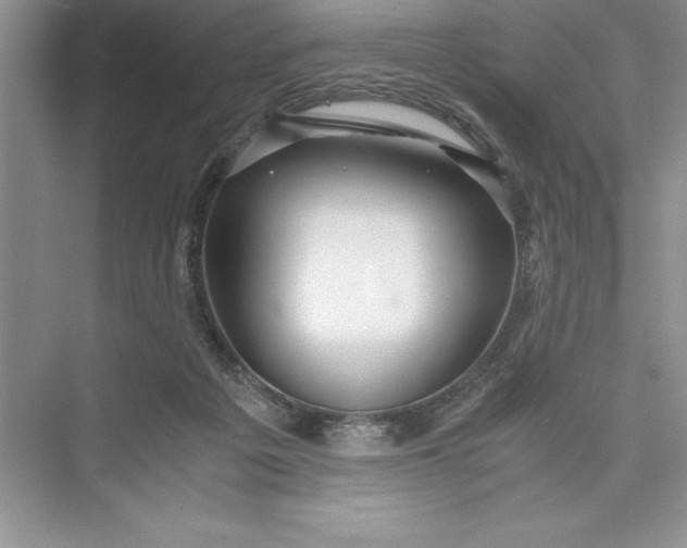 X0000075410217200609251053