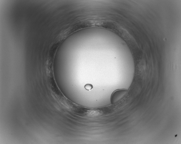 X0000075410218200609251053