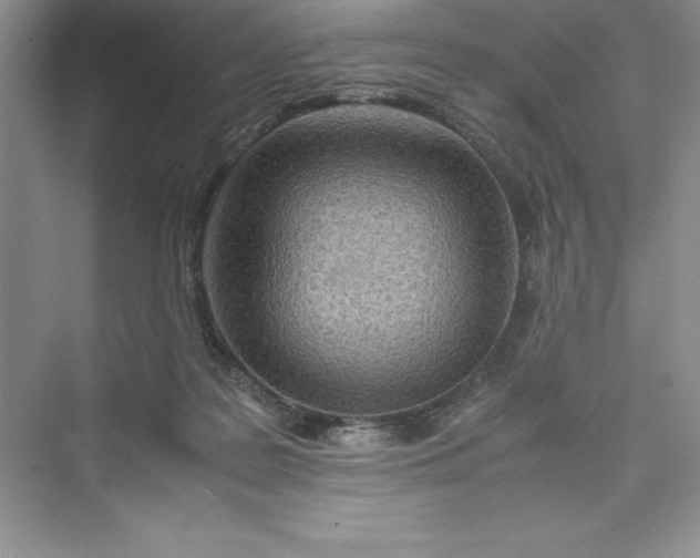 X0000075410219200609251053