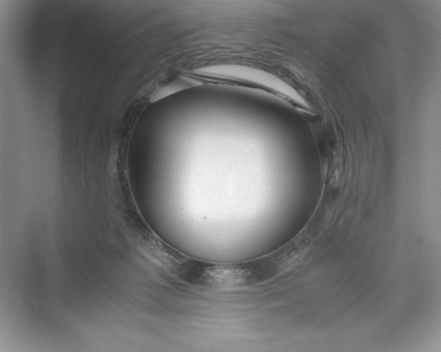 X0000075410221200609251053