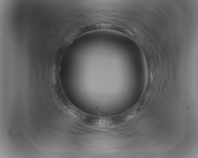 X0000075410223200609251053