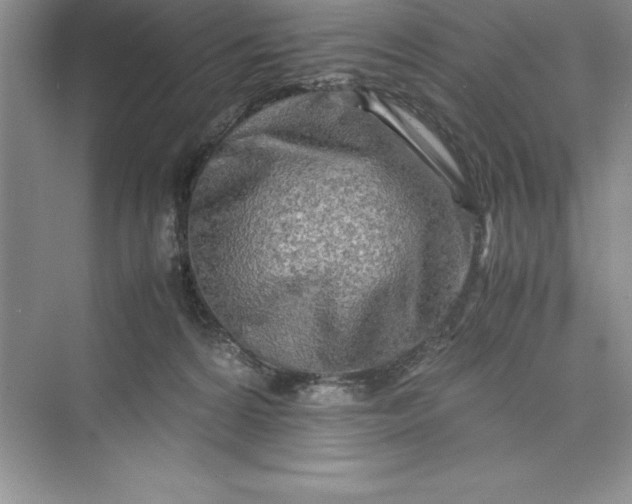 X0000075410224200609251053