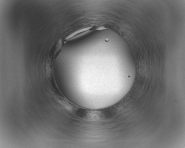 X0000075410226200609251053