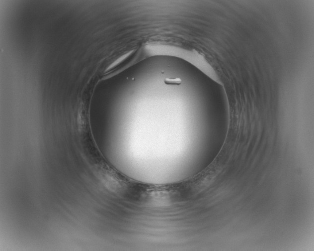 X0000075410228200609251053