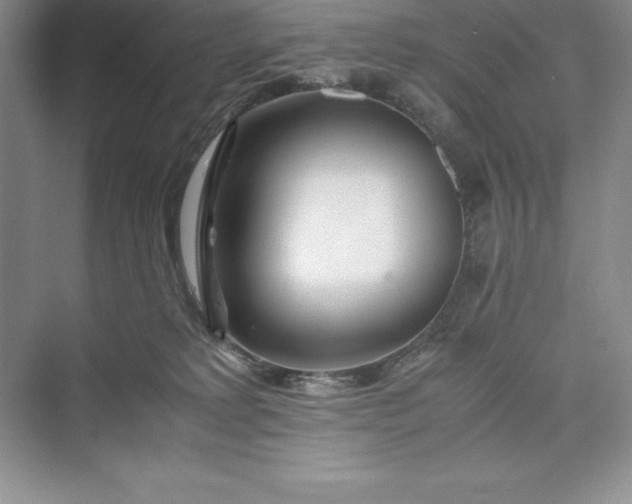 X0000075410229200609251052