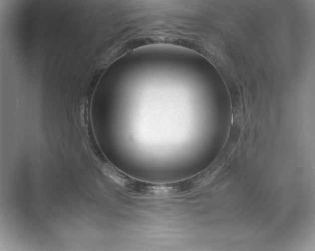 X0000075410233200609251052