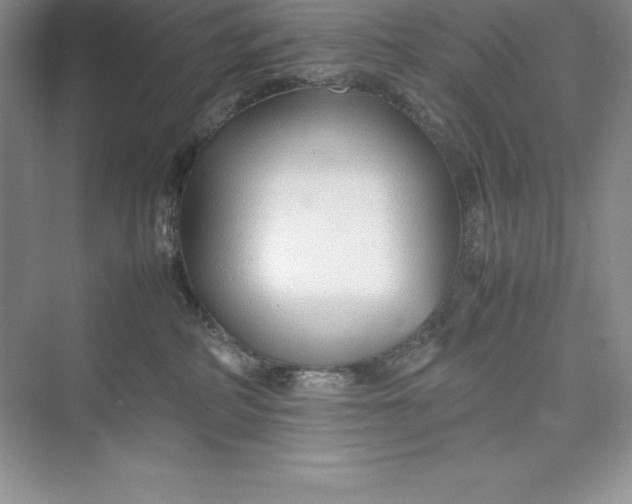 X0000075410234200609251052