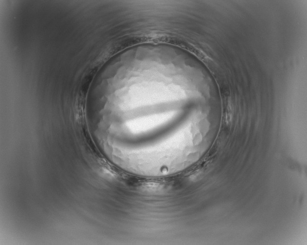 X0000075410236200609251052