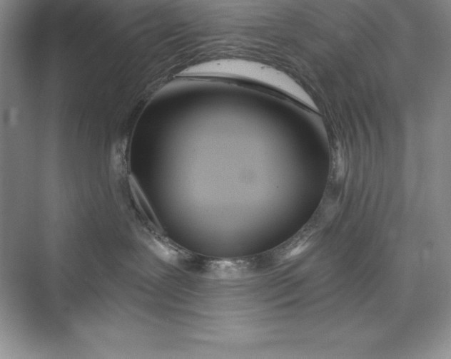 X0000075410239200609251052