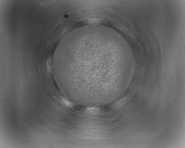 X0000075410240200609251052