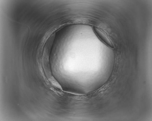 X0000075410241200609251051