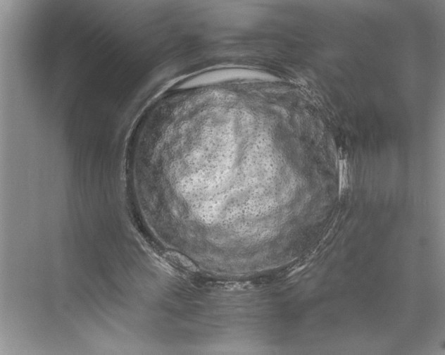 X0000075410243200609251052