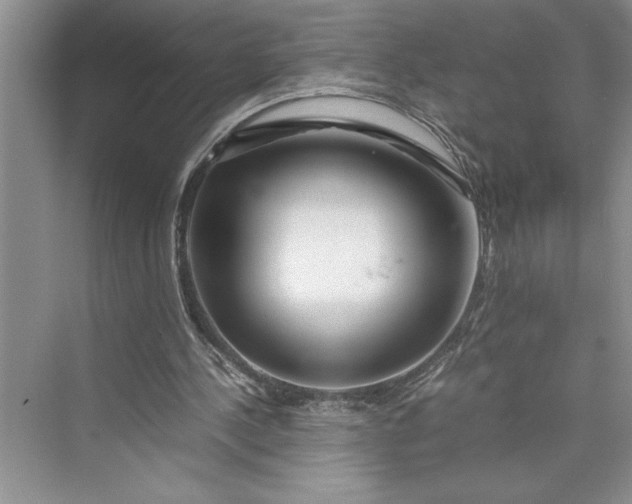 X0000075410244200609251052