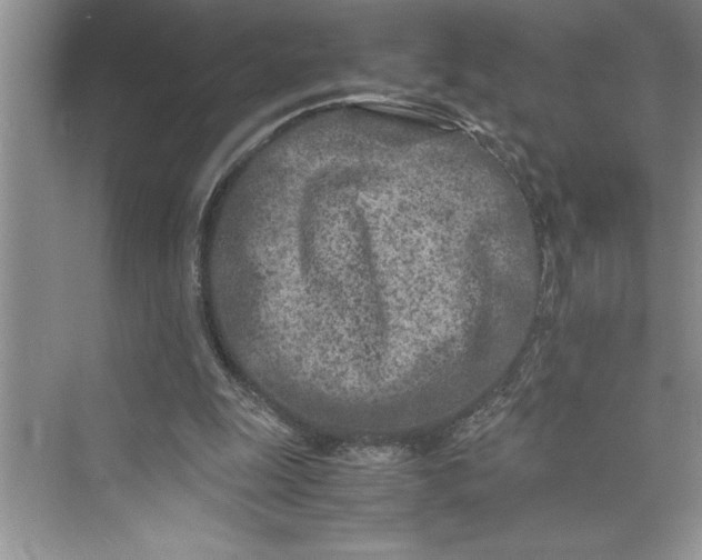 X0000075410247200609251052