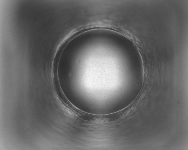 X0000075410248200609251052