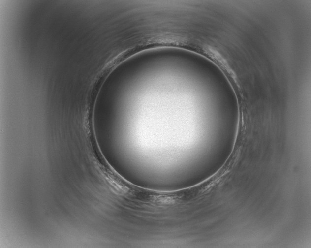 X0000075410249200609251052