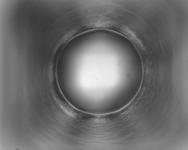 X0000075410250200609251052