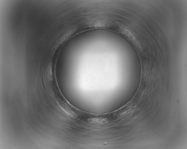 X0000075410251200609251052