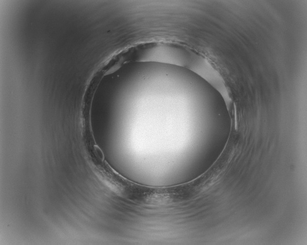 X0000075410252200609251052