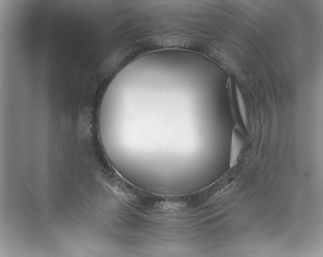 X0000075410255200609251052