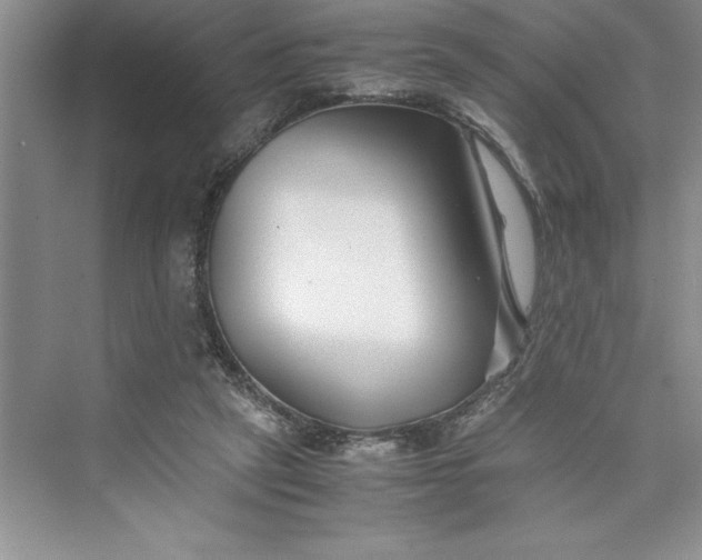 X0000075410257200609251052