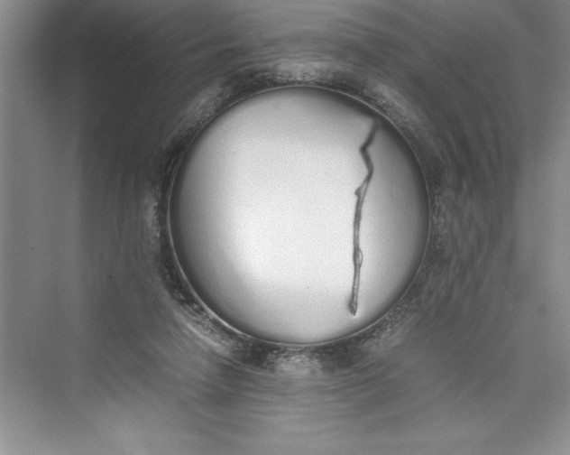 X0000075410258200609251052