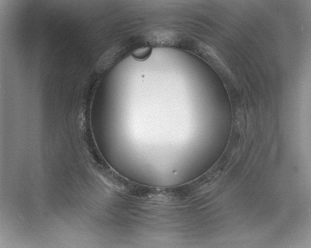 X0000075410259200609251052