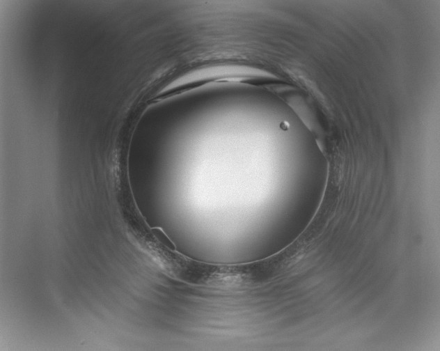 X0000075410260200609251052