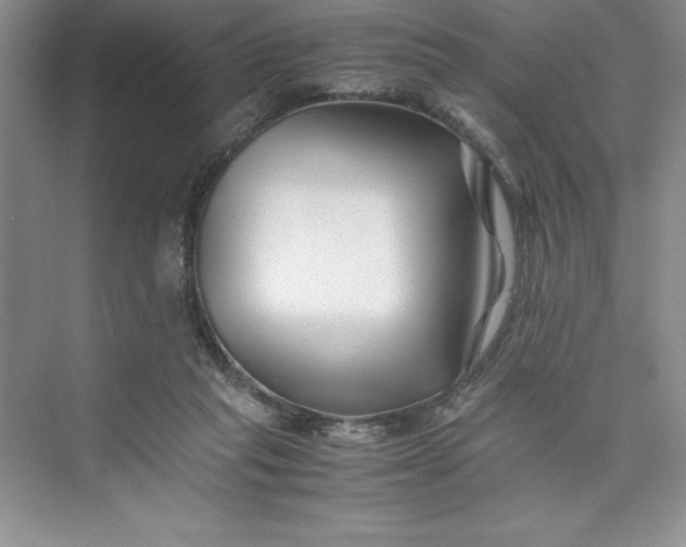 X0000075410261200609251052