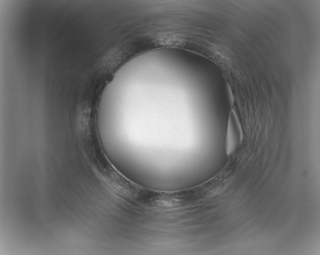 X0000075410263200609251052