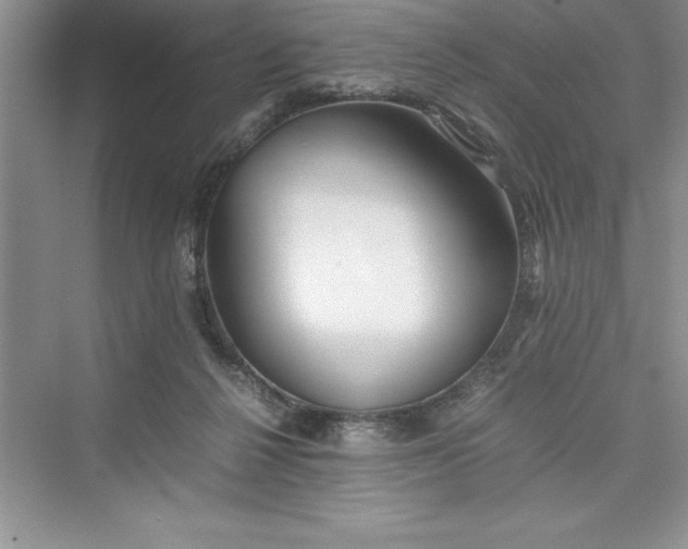 X0000075410264200609251052