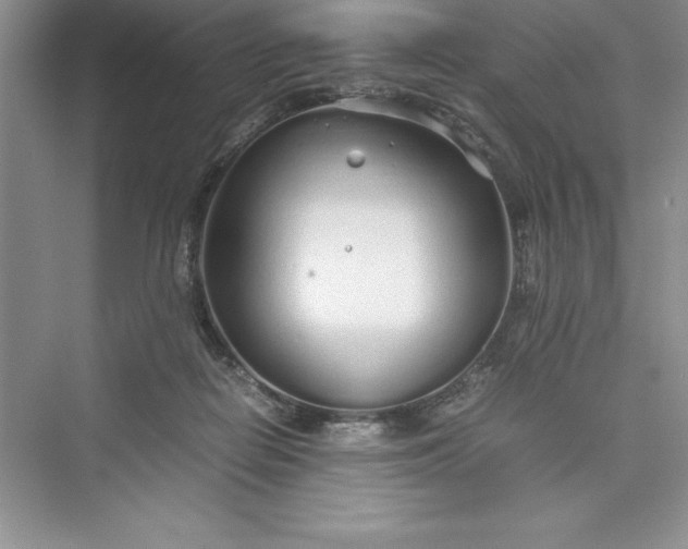 X0000075410266200609251052