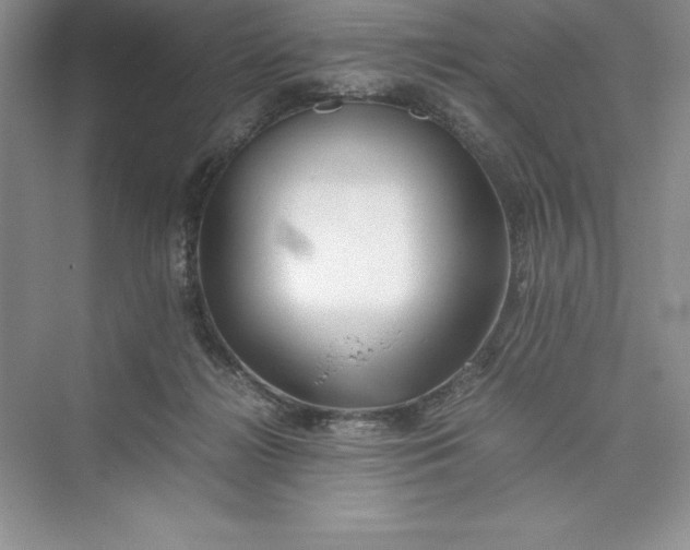 X0000075410268200609251052